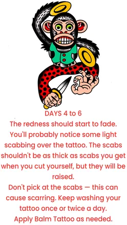 Traditional tattoo design of a monkey with a dagger, DAYS 4 to 6 aftercare card