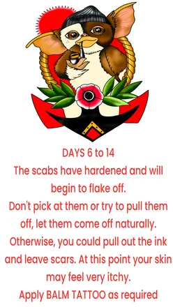 Traditional tattoo design of a furry character on an anchor, DAYS 6 to 14 aftercare card